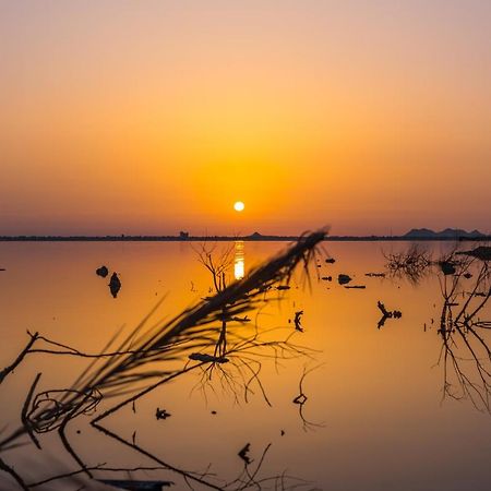 Taghaghien Island Resort Siwa Oasis Eksteriør bilde