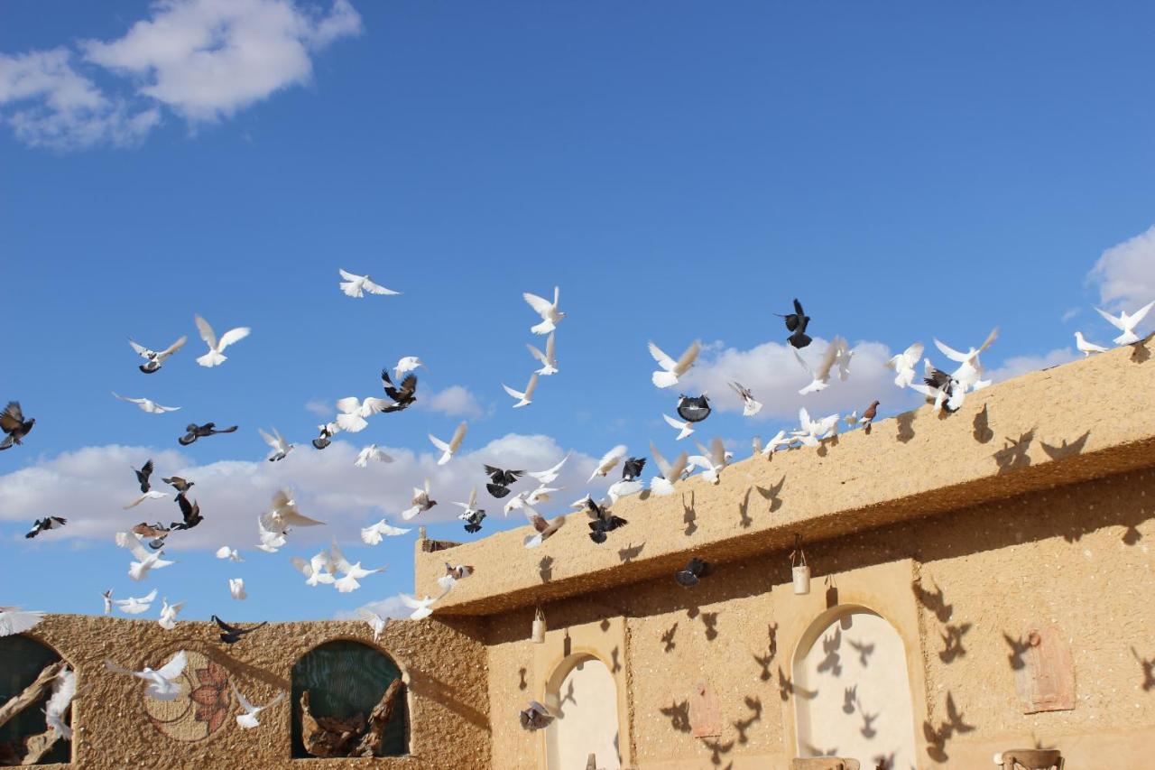 Taghaghien Island Resort Siwa Oasis Eksteriør bilde