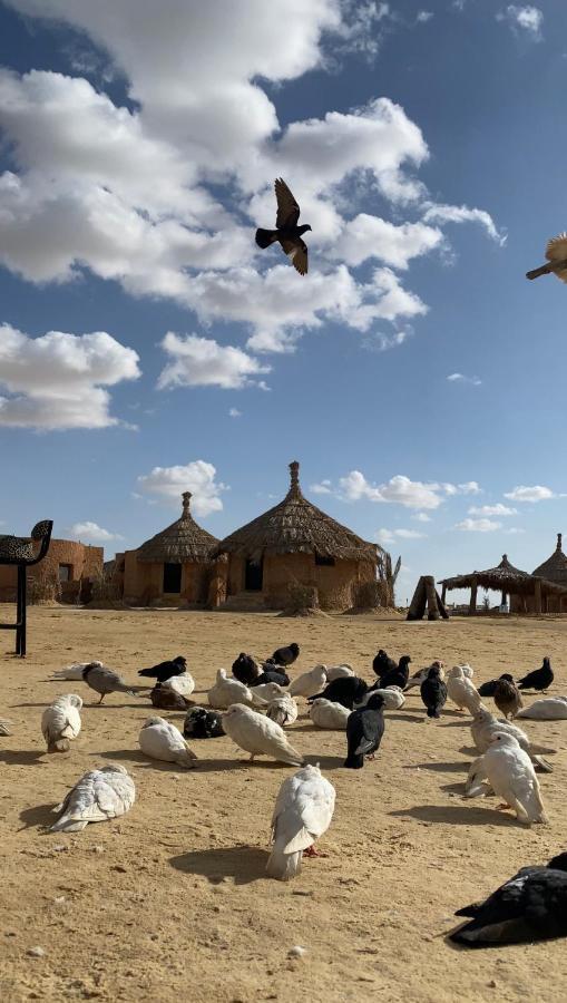 Taghaghien Island Resort Siwa Oasis Eksteriør bilde